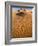 Rolling Orange Sand Dunes and Sand Ripples in the Erg Chebbi Sand Sea Near Merzouga, Morocco-Lee Frost-Framed Photographic Print