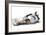 Rolling Rolling Rolling, 2011-Mark Adlington-Framed Giclee Print