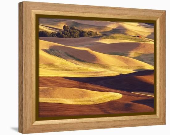 Rolling Wheat and Fallow Fields-Darrell Gulin-Framed Premier Image Canvas