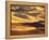 Rolling Wheat and Fallow Fields-Darrell Gulin-Framed Premier Image Canvas