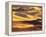 Rolling Wheat and Fallow Fields-Darrell Gulin-Framed Premier Image Canvas