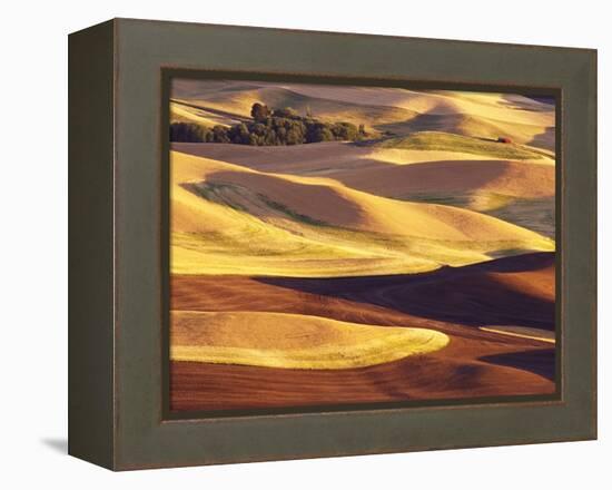 Rolling Wheat and Fallow Fields-Darrell Gulin-Framed Premier Image Canvas