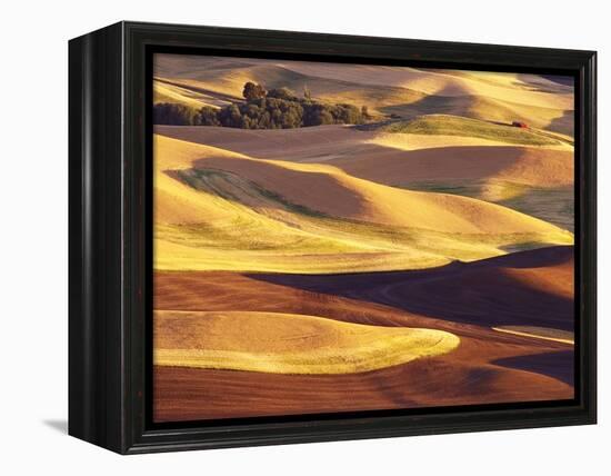 Rolling Wheat and Fallow Fields-Darrell Gulin-Framed Premier Image Canvas