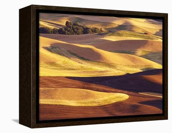 Rolling Wheat and Fallow Fields-Darrell Gulin-Framed Premier Image Canvas