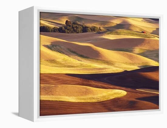 Rolling Wheat and Fallow Fields-Darrell Gulin-Framed Premier Image Canvas