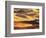 Rolling Wheat and Fallow Fields-Darrell Gulin-Framed Photographic Print