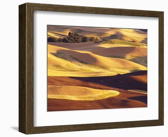 Rolling Wheat and Fallow Fields-Darrell Gulin-Framed Photographic Print