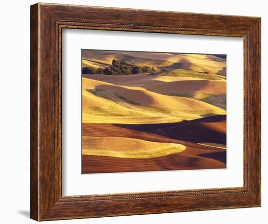 Rolling Wheat and Fallow Fields-Darrell Gulin-Framed Photographic Print