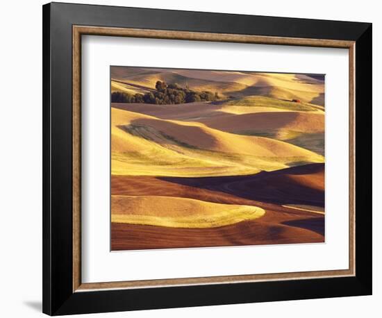 Rolling Wheat and Fallow Fields-Darrell Gulin-Framed Photographic Print