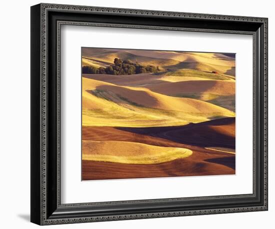 Rolling Wheat and Fallow Fields-Darrell Gulin-Framed Photographic Print