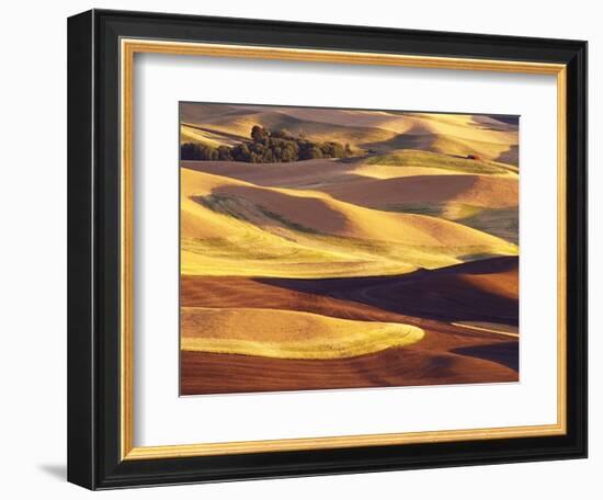 Rolling Wheat and Fallow Fields-Darrell Gulin-Framed Photographic Print