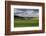 Rolling Wheat Fields with Lone Tree-Terry Eggers-Framed Photographic Print