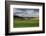 Rolling Wheat Fields with Lone Tree-Terry Eggers-Framed Photographic Print