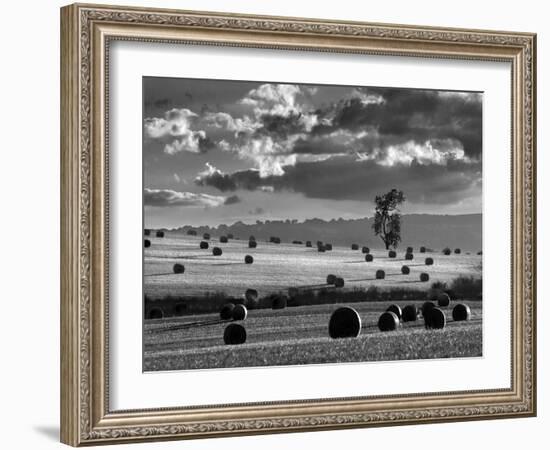 Rolls of Hay-Martin Henson-Framed Photographic Print