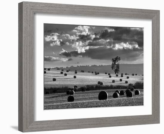 Rolls of Hay-Martin Henson-Framed Photographic Print