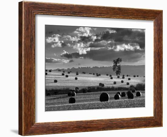 Rolls of Hay-Martin Henson-Framed Photographic Print