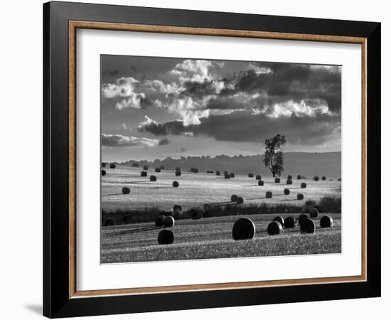 Rolls of Hay-Martin Henson-Framed Photographic Print