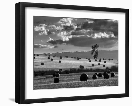 Rolls of Hay-Martin Henson-Framed Photographic Print