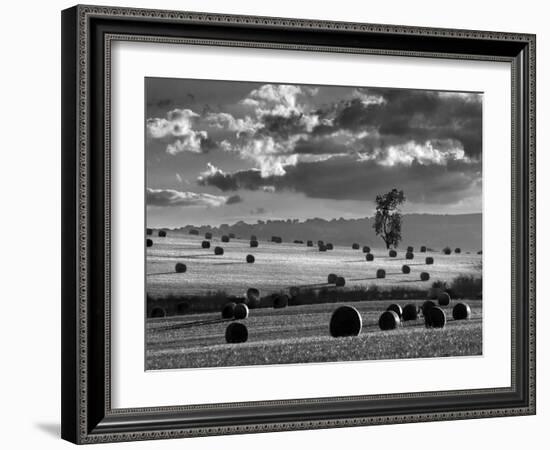 Rolls of Hay-Martin Henson-Framed Photographic Print