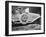 Rolls-Royce Silver Ghost in the Alpine Trial, 1913-null-Framed Photographic Print