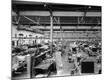 Premium Photographic Print