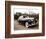 Rolls Royce-Bill Bachmann-Framed Photographic Print