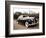 Rolls Royce-Bill Bachmann-Framed Photographic Print