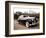 Rolls Royce-Bill Bachmann-Framed Photographic Print