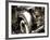 Rolls-Stephen Arens-Framed Photographic Print