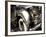 Rolls-Stephen Arens-Framed Photographic Print