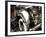 Rolls-Stephen Arens-Framed Photographic Print