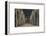 'Roma - Main nave of the Basilica of St. John Lateran (Borromini, arch. 1650)', 1910-Unknown-Framed Photographic Print