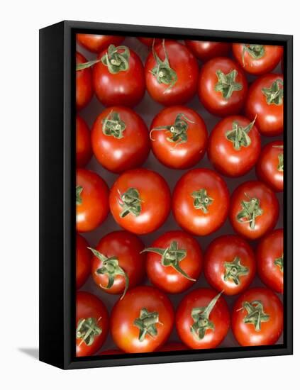 Roma Tomatos-Martina Schindler-Framed Premier Image Canvas