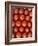 Roma Tomatos-Martina Schindler-Framed Photographic Print