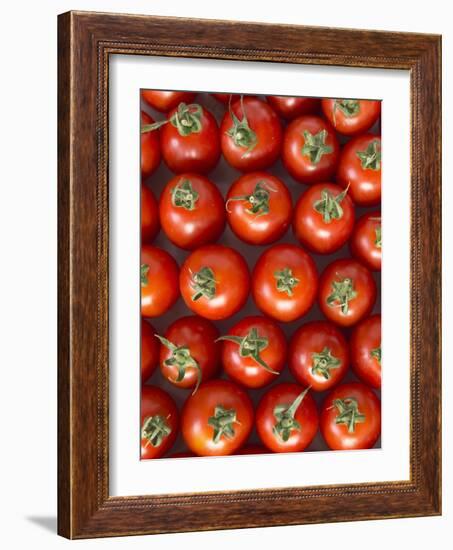 Roma Tomatos-Martina Schindler-Framed Photographic Print