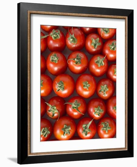 Roma Tomatos-Martina Schindler-Framed Photographic Print