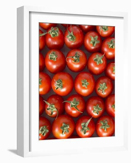 Roma Tomatos-Martina Schindler-Framed Photographic Print