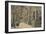 'Roma - Vatican - Reading room of the Library', 1910-Unknown-Framed Giclee Print