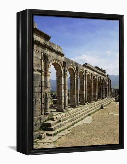 Roman Archaeological Site-Simon Montgomery-Framed Premier Image Canvas