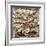 Roman Art : Fishes-null-Framed Photographic Print