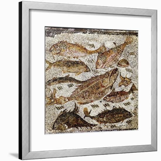 Roman Art : Fishes-null-Framed Photographic Print