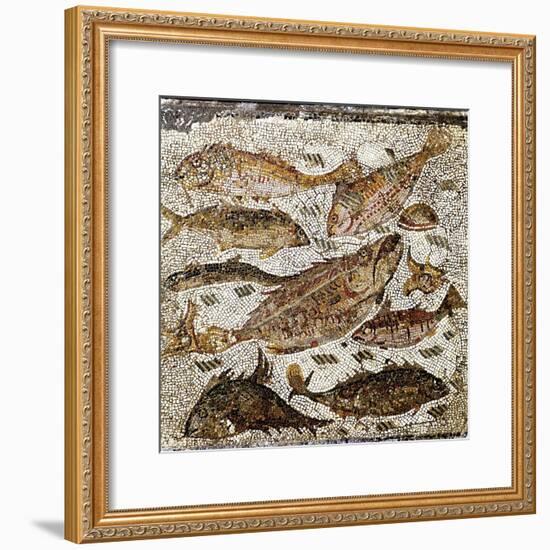 Roman Art : Fishes-null-Framed Photographic Print