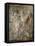 Roman Art : the Wedding of Zeus and Hera on Mount Ida-null-Framed Premier Image Canvas