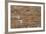 Roman Brick and Tile Wall-Natalie Tepper-Framed Photo