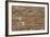 Roman Brick and Tile Wall-Natalie Tepper-Framed Photo