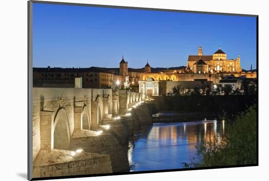 Roman Bridge, Catedral Mosque of Cordoba, Cordoba, Andalucia, Spain-Rob Tilley-Mounted Photographic Print