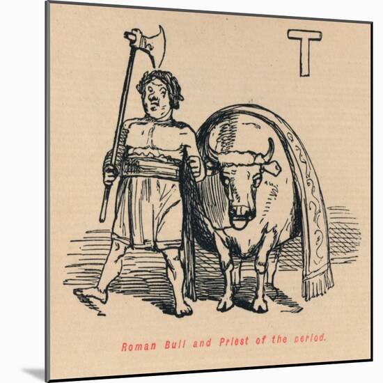 'Roman Bull and Priest of the period', 1852-John Leech-Mounted Giclee Print