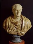 Bust of Antinous-Roman-Giclee Print