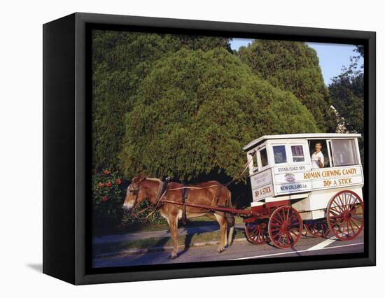 Roman Chewing Candy Cart-Carol Highsmith-Framed Stretched Canvas
