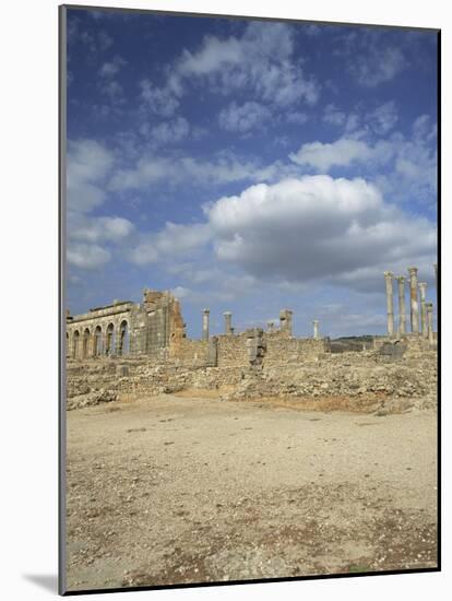 Roman City of the 3rd Century, Volubilis, Unesco World Heritage Site, Morocco, North Africa, Africa-Tony Gervis-Mounted Photographic Print